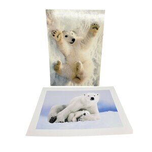 EDF Environmental Defense Fund Polar Bear Blank Greeting Cards No Envelope